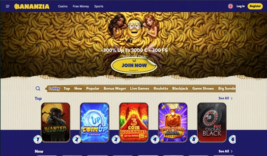 Page Casino Overview Image